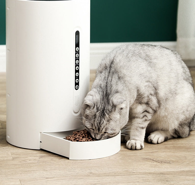 Pet Smart Timing Feeder
