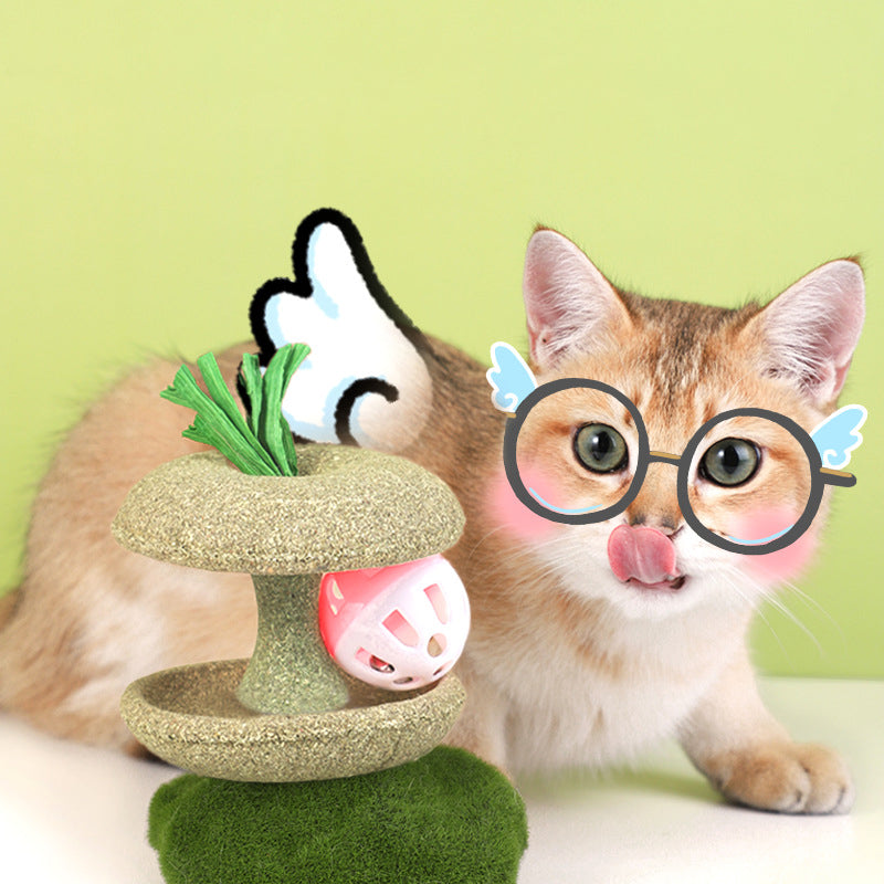 Catnip Shape With Bell