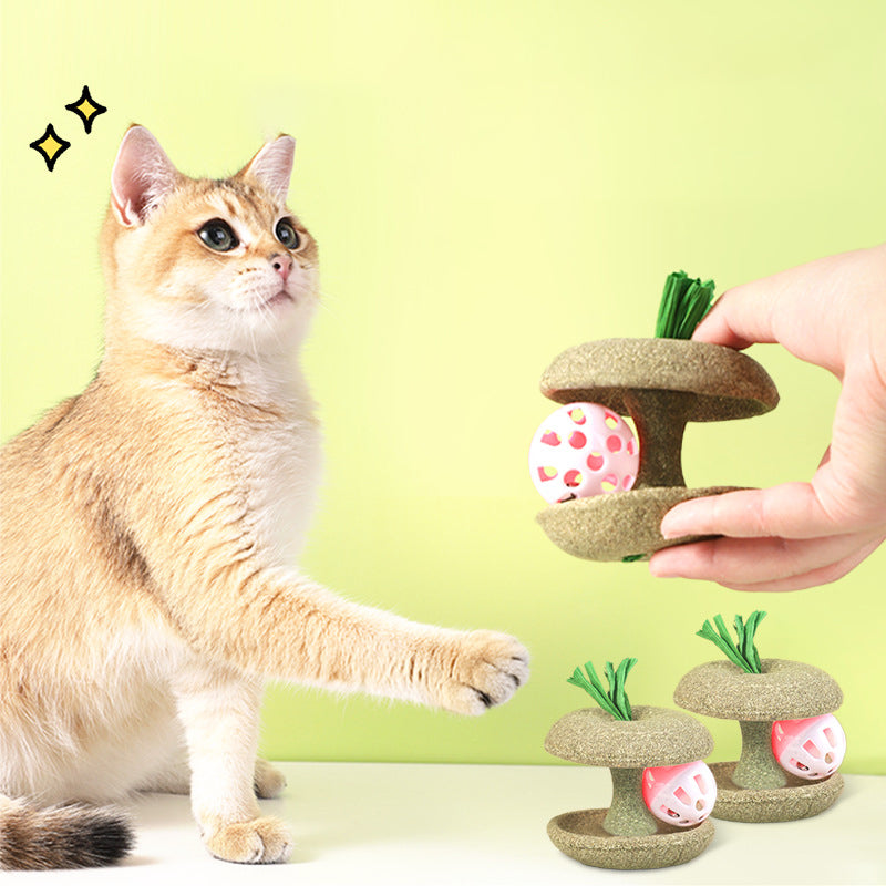 Catnip Shape With Bell