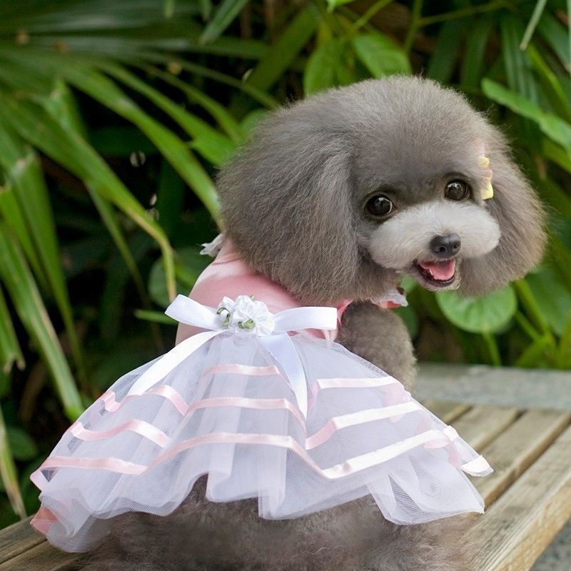 spring princess dress