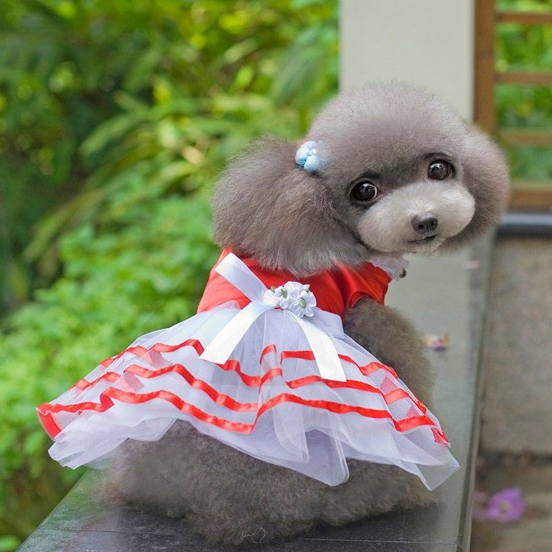 spring princess dress