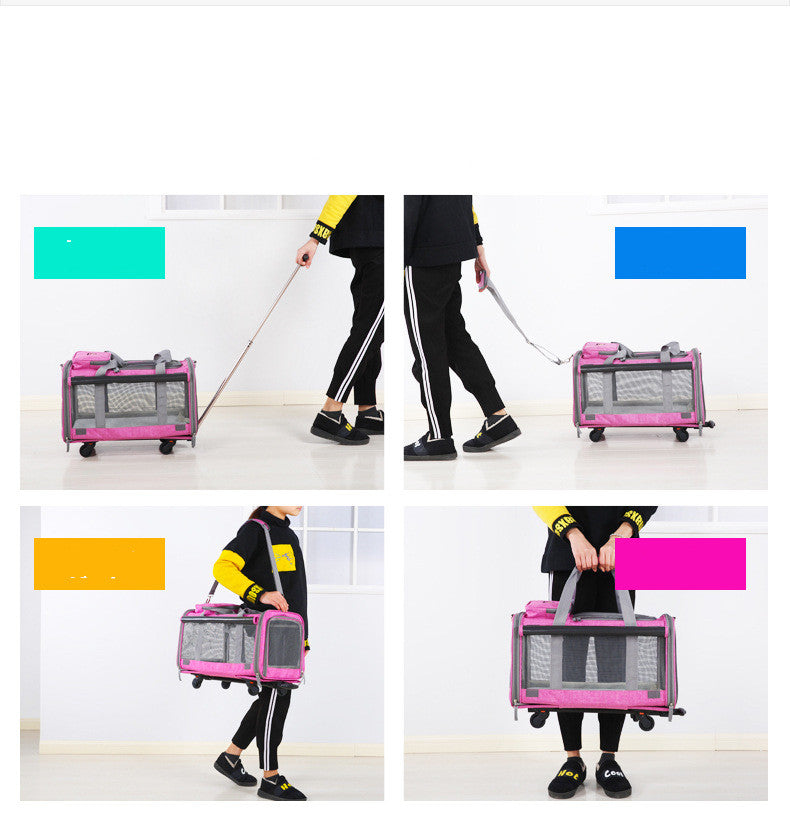 Pet Bag