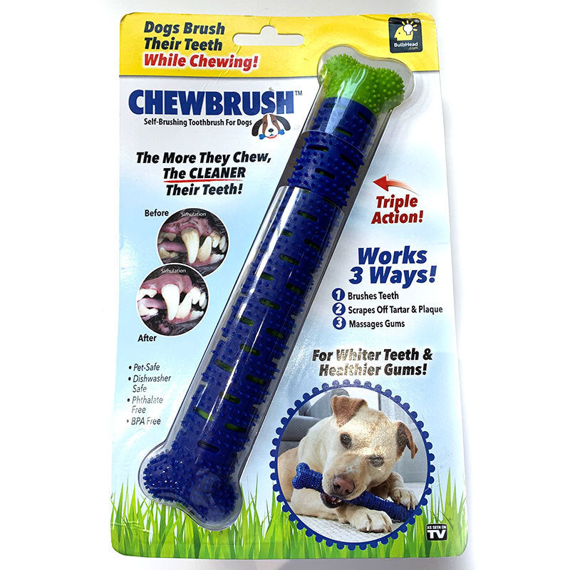 dog chewing tooth brush