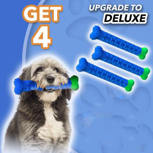 dog chewing tooth brush