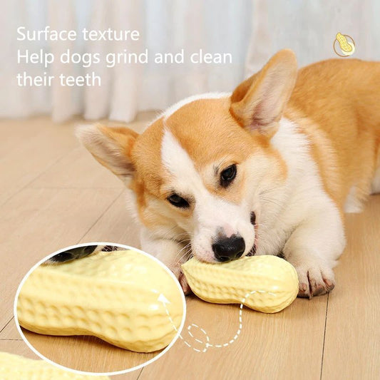 Chew Teeth Cleaning Sound Toy