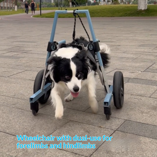 Pet Wheelchair