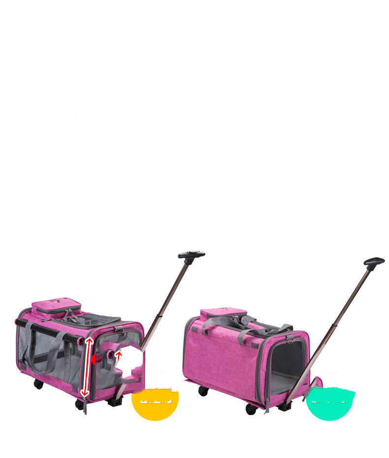 Pet Bag