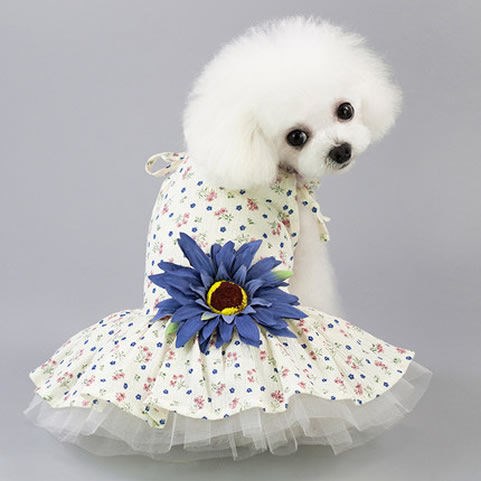 spring princess dress