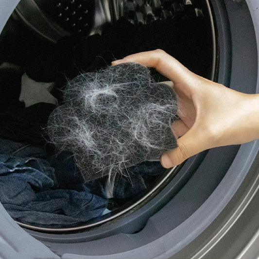 Hair-Removing Clothing Brush