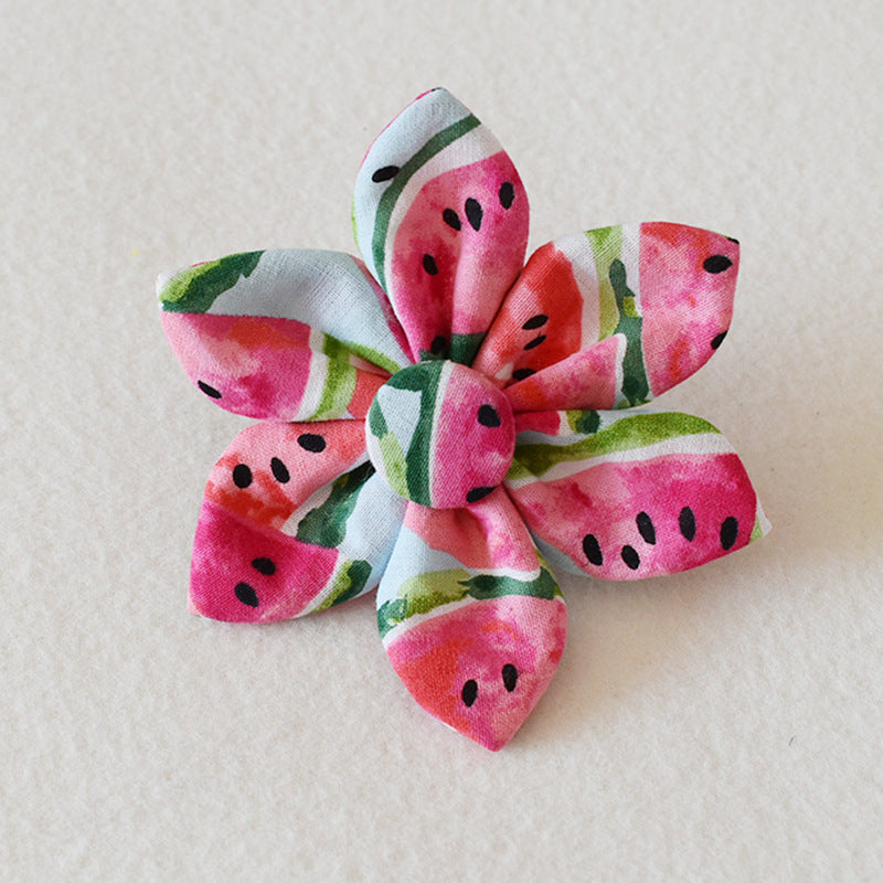 watermelon Collar