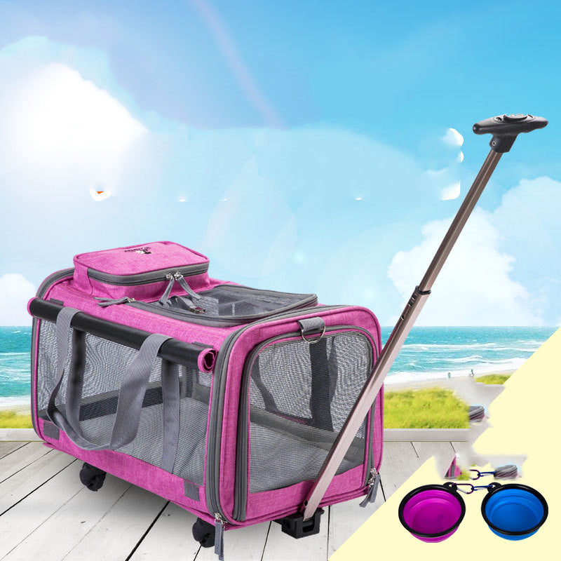Pet Bag