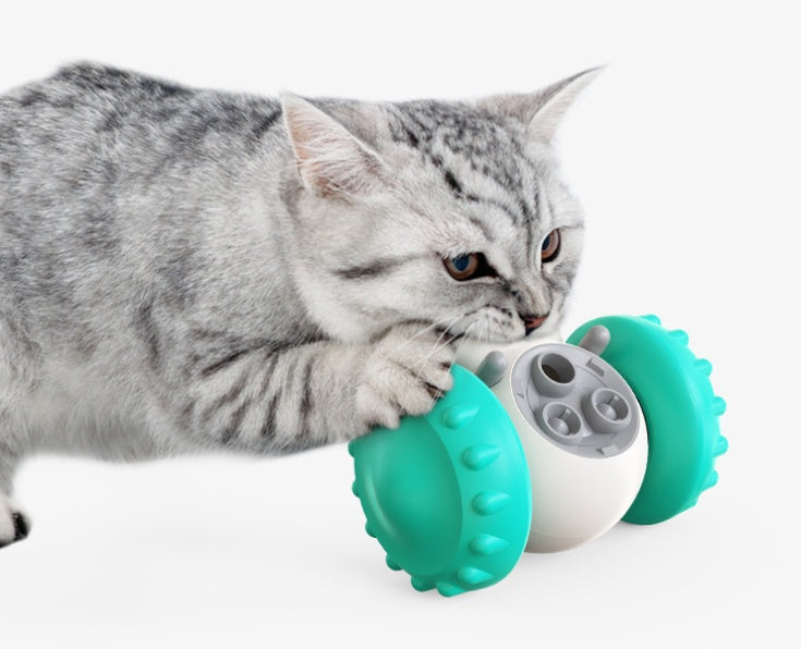 Interactive Balance Car
