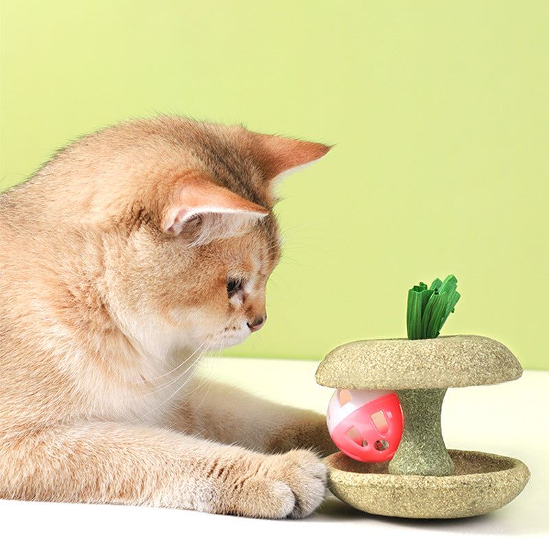 Catnip Shape With Bell