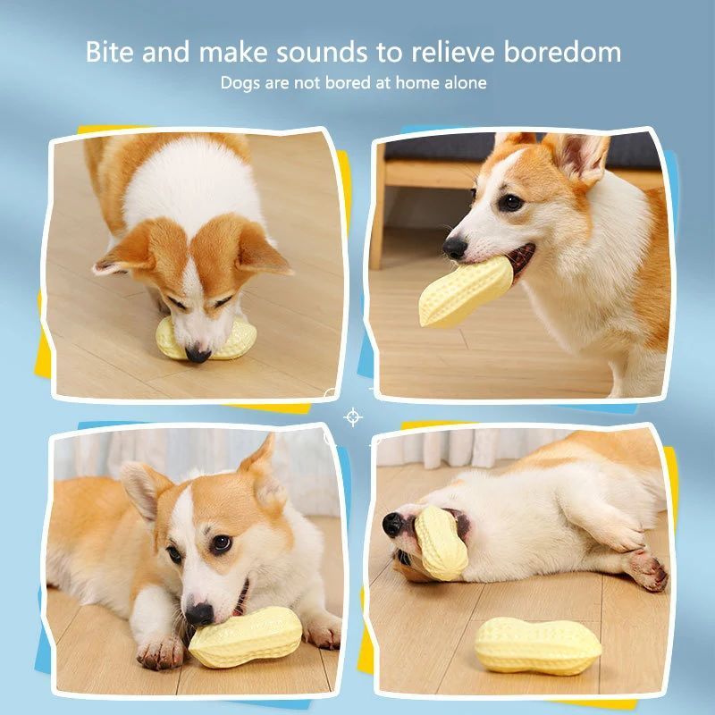 Chew Teeth Cleaning Sound Toy