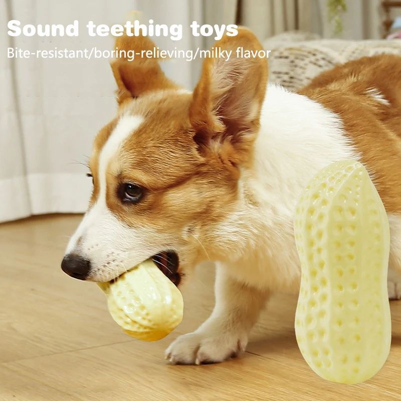 Chew Teeth Cleaning Sound Toy