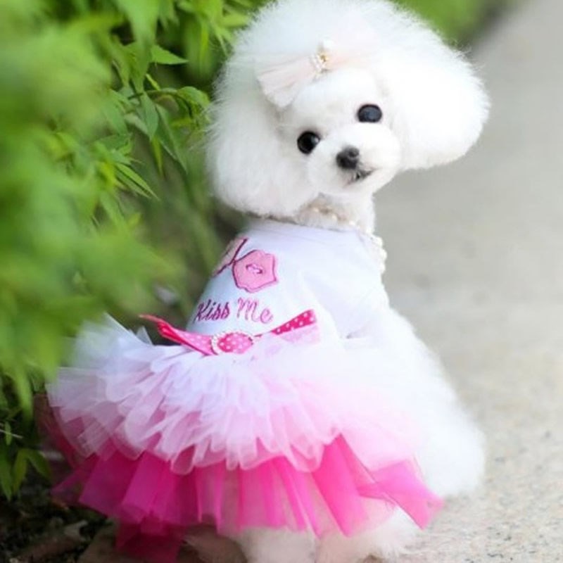 spring princess dress