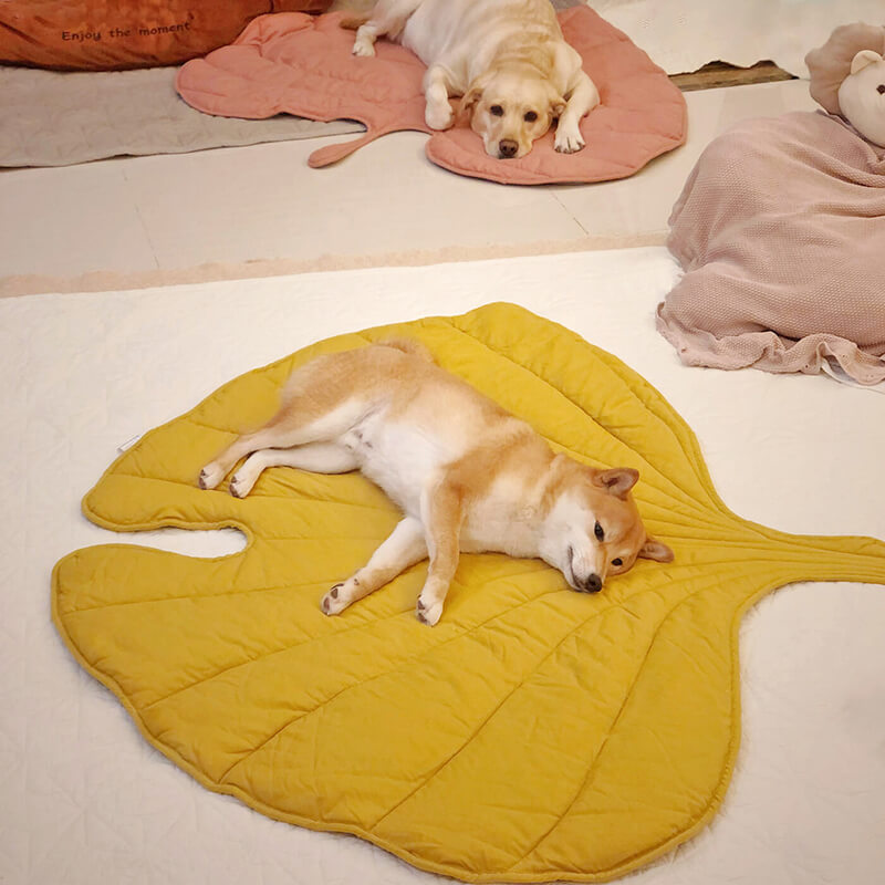 Pet Universal Four Seasons Mat