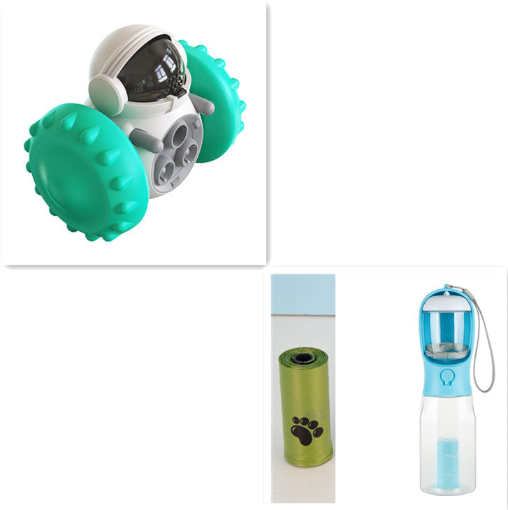 Interactive Balance Car