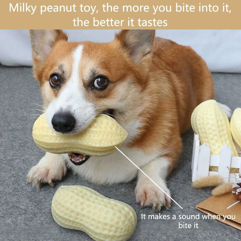 Chew Teeth Cleaning Sound Toy
