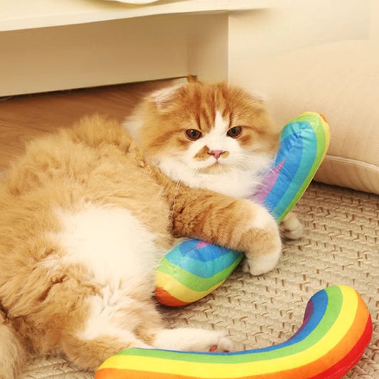 Catnip Pillow
